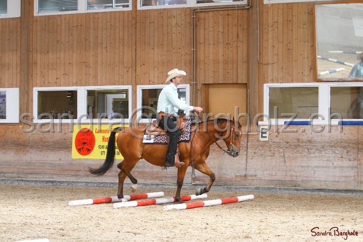 26-ApHC GT_030.jpg